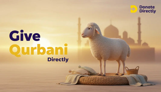 Sheep beside Eid meat sharing basket at sunrise, illustrating proper Qurbani donation concept