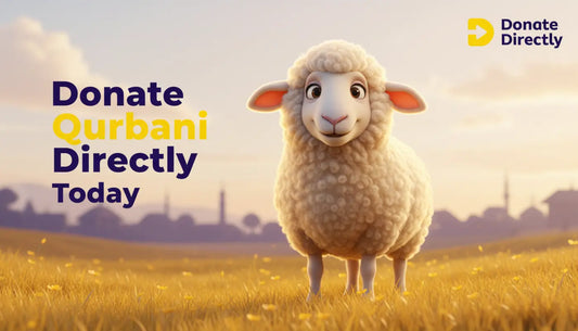 Sheep mascot in bright meadow promoting online Qurbani for UK Muslims.