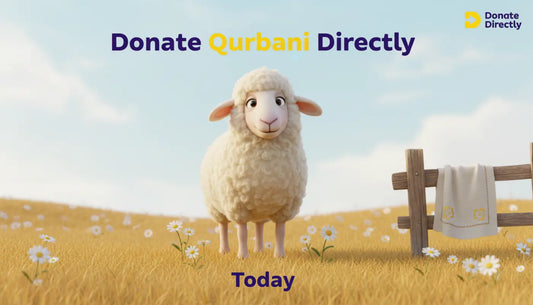 Friendly sheep mascot in a bright meadow for a Donate Directly Qurbani 2026 guide