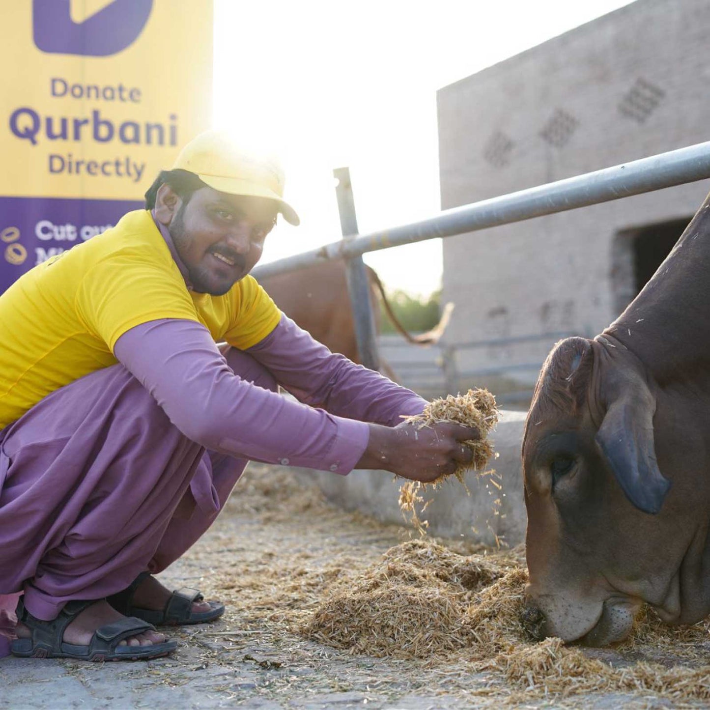 Donate Qurbani Directly