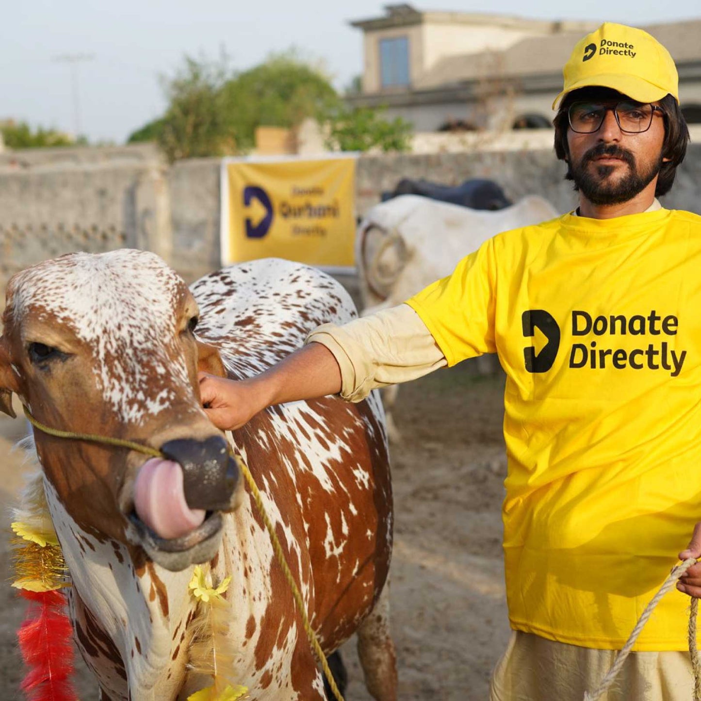 Donate Qurbani Directly