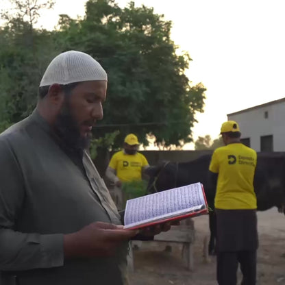 Donate Qurbani Directly